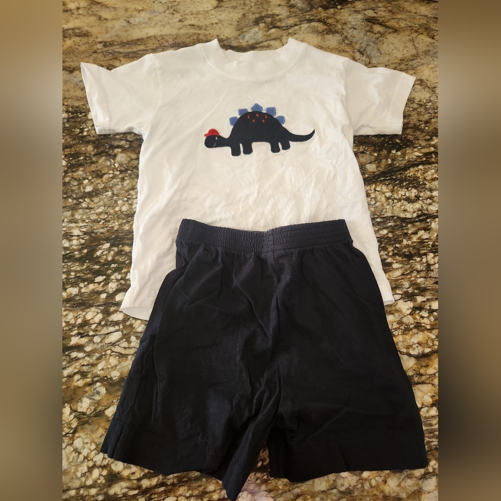 Dinosaur T-Shirt and Shorts Set